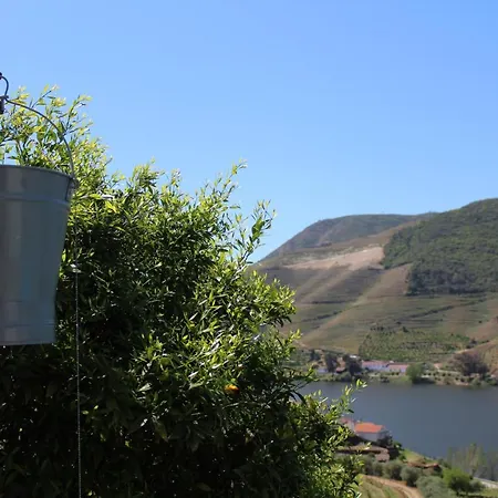 Casa José Lourenço * Folgosa (Viseu)