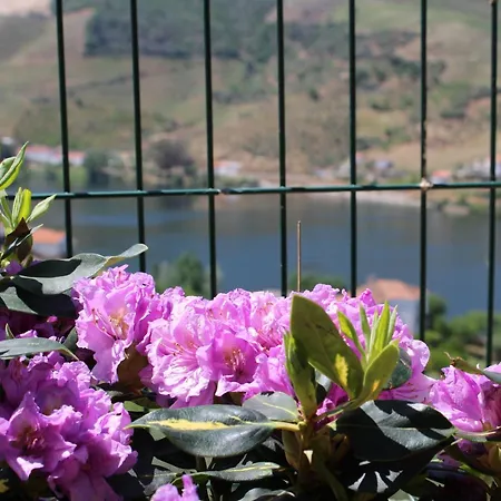 Casa José Lourenço * Folgosa (Viseu)