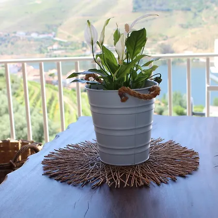 Casa José Lourenço Hébergement de vacances