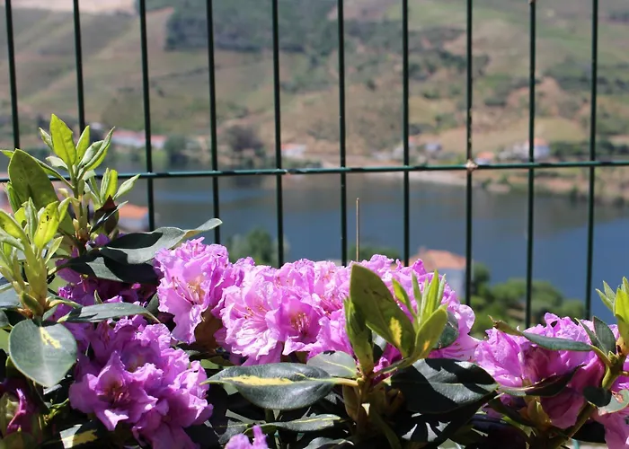 Casa José Lourenço * Folgosa (Viseu)